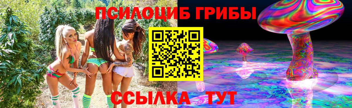Галлюциногенные грибы Psilocybe  Вход с VPN  Бирск  Галлюциногенные грибы Psilocybe 