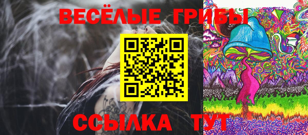 Галлюциногенные грибы Cubensis Бирск